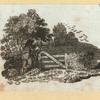 Scrap Book, Volume 8, p.48