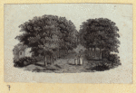 Scrap Book, Volume 8, p.60