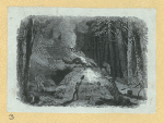 Scrap Book, Volume 9, p.3