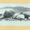 Scrap Book, Volume 9, p.5