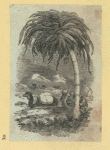 Scrap Book, Volume 9, p.21