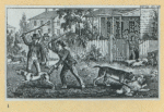 Scrap Book, Volume 9, p.38