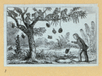 Scrap Book, Volume 9, p.40