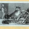 Scrap Book, Volume 9, p.40