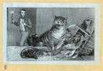 Scrap Book, Volume 9, p.40