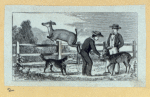 Scrap Book, Volume 9, p.41