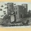 Scrap Book, Volume 9, p.43