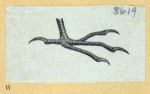 Scrap Book, Volume 9, p.45