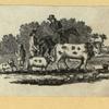 Scrap Book, Volume 9, p.48