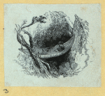 Scrap Book, Volume 9, p.63