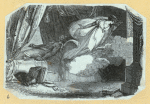 Scrap Book, Volume 9, p.67