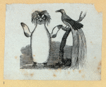 Scrap Book, Volume 9, p.78
