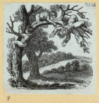 Scrap Book, Volume 10, p.41