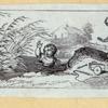 Scrap Book, Volume 10, p.42