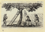 Scrap Book, Volume 10, p.48