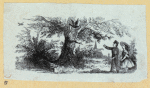 Scrap Book, Volume 10, p.64