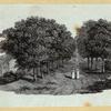 Scrap Book, Volume 10, p.65