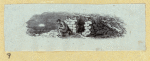 Scrap Book, Volume 10, p.89