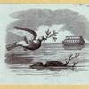 Scrap Book, Volume 11, p.21