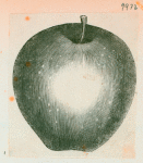 Volume 3, p.32
