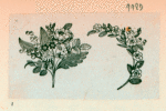 Volume 3, p.36