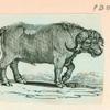 Volume 3, p.39