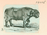 Volume 3, p.39
