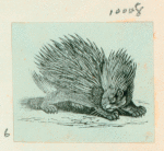 Volume 3, p.39