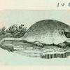 Volume 3, p.39