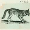 Volume 3, p.39