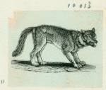 Volume 3, p.39