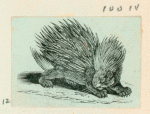 Volume 3, p.39