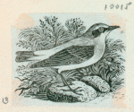 Volume 3, p.39