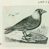 Volume 3, p.39