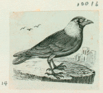 Volume 3, p.39