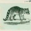 Volume 3, p.43