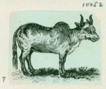 Volume 3, p.43