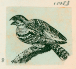Volume 3, p.43