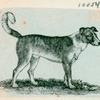 Volume 3, p.43