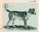 Volume 3, p.43