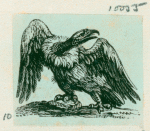 Volume 3, p.43