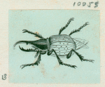Volume 3, p.43