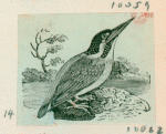 Volume 3, p.43