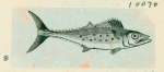 Volume 3, p.44