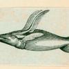 Volume 3, p.44