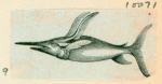 Volume 3, p.44
