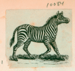 Volume 3, p.45