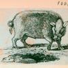 Volume 3, p.45