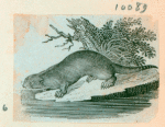 Volume 3, p.45