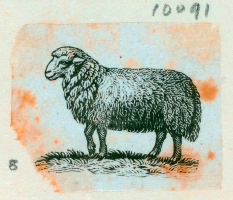 Index